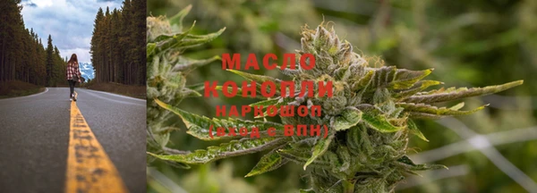 дмт Гусев