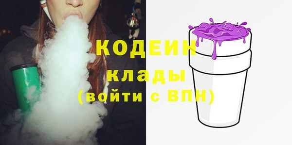 дмт Гусев