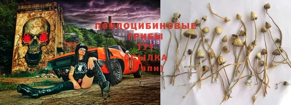 метадон Тутаев