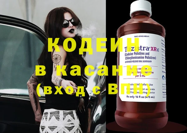дмт Гусев