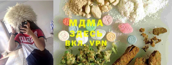 дмт Гусев