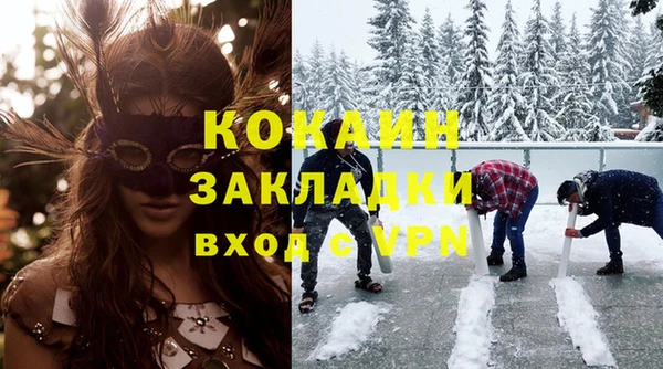 дмт Гусев
