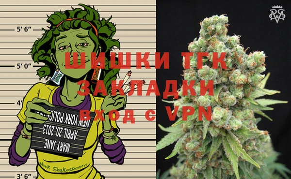 дмт Гусев