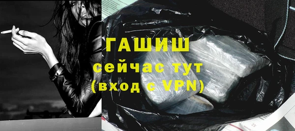 дмт Гусев