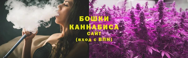 дмт Гусев