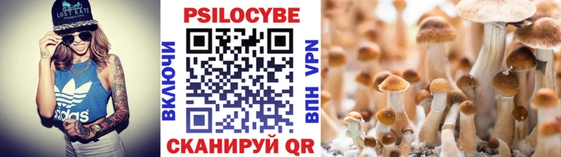Псилоцибиновые грибы прущие грибы  Елизово 