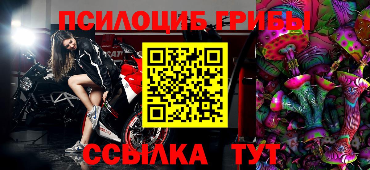Псилоцибиновые грибы мицелий Елизово