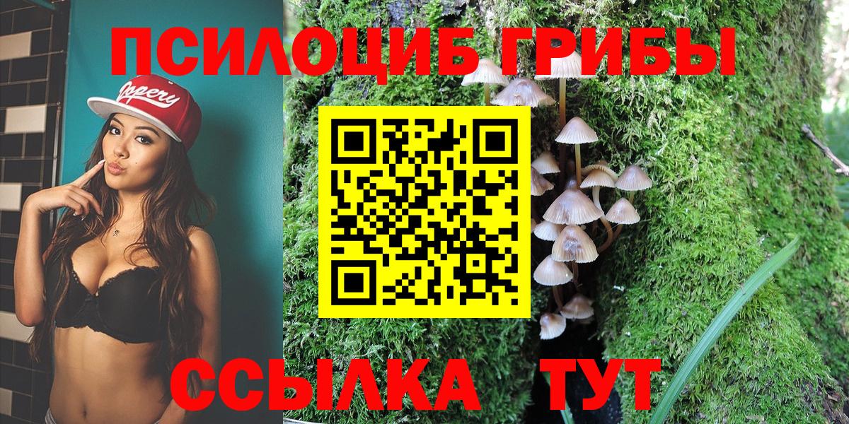 Галлюциногенные грибы Psilocybine cubensis  Вход с VPN  купить   Елизово 